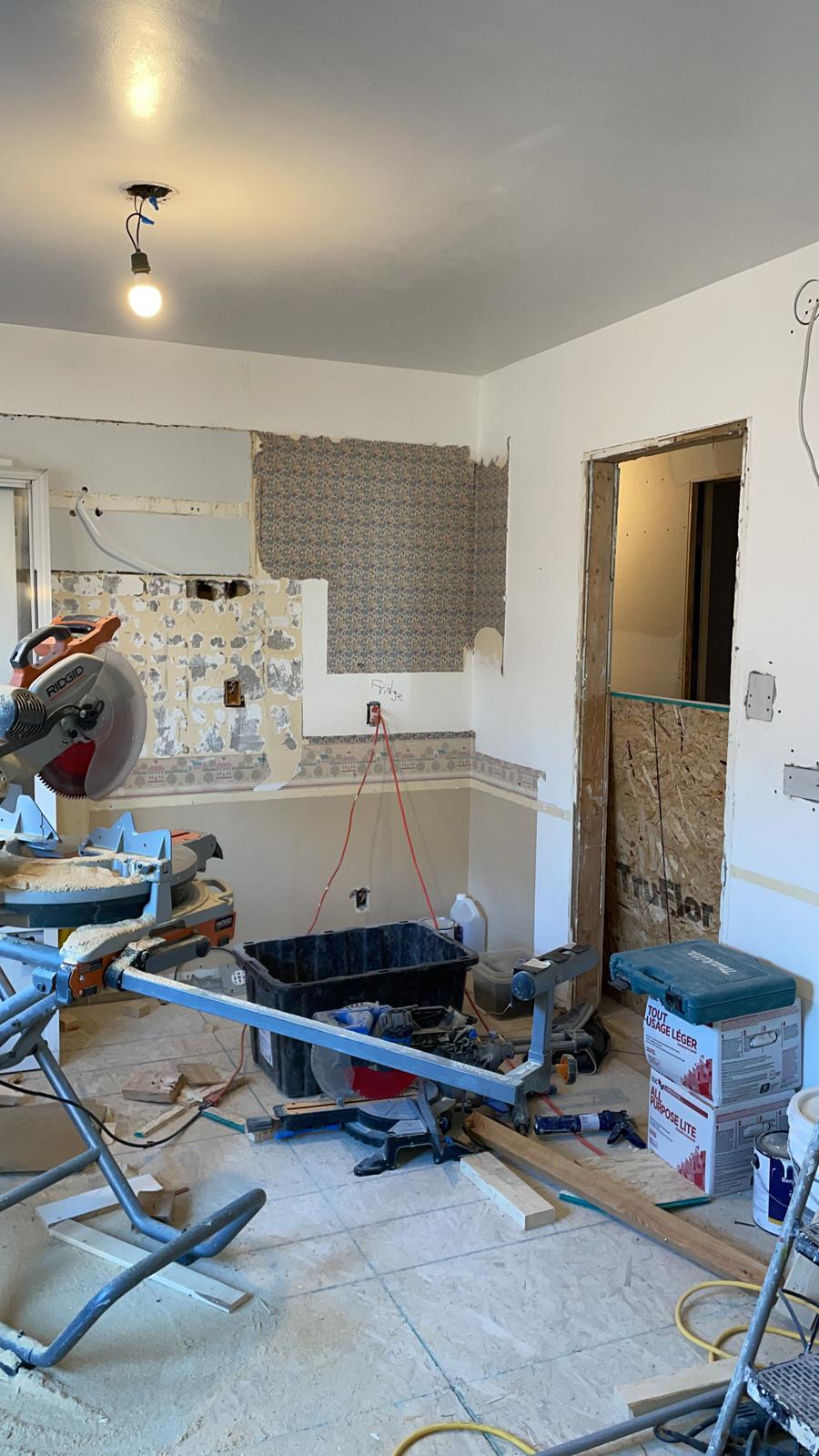 FastBest-Full-Renovation-Phase-Project-webster-drive-aurora - 4
