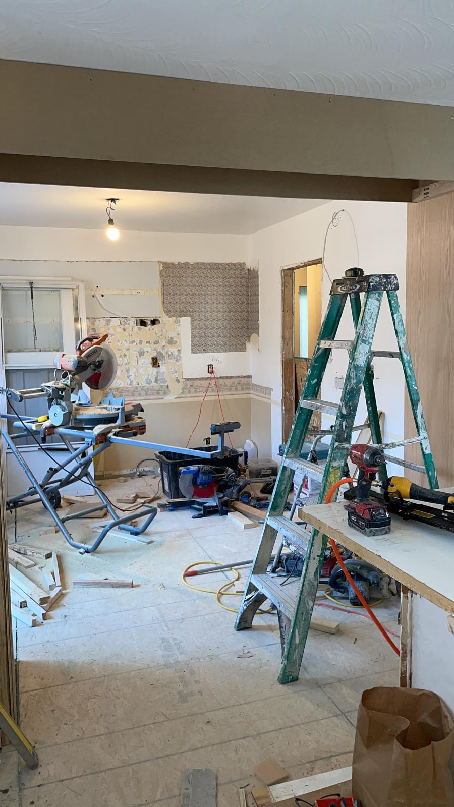 FastBest-Full-Renovation-Phase-Project-webster-drive-aurora - 5
